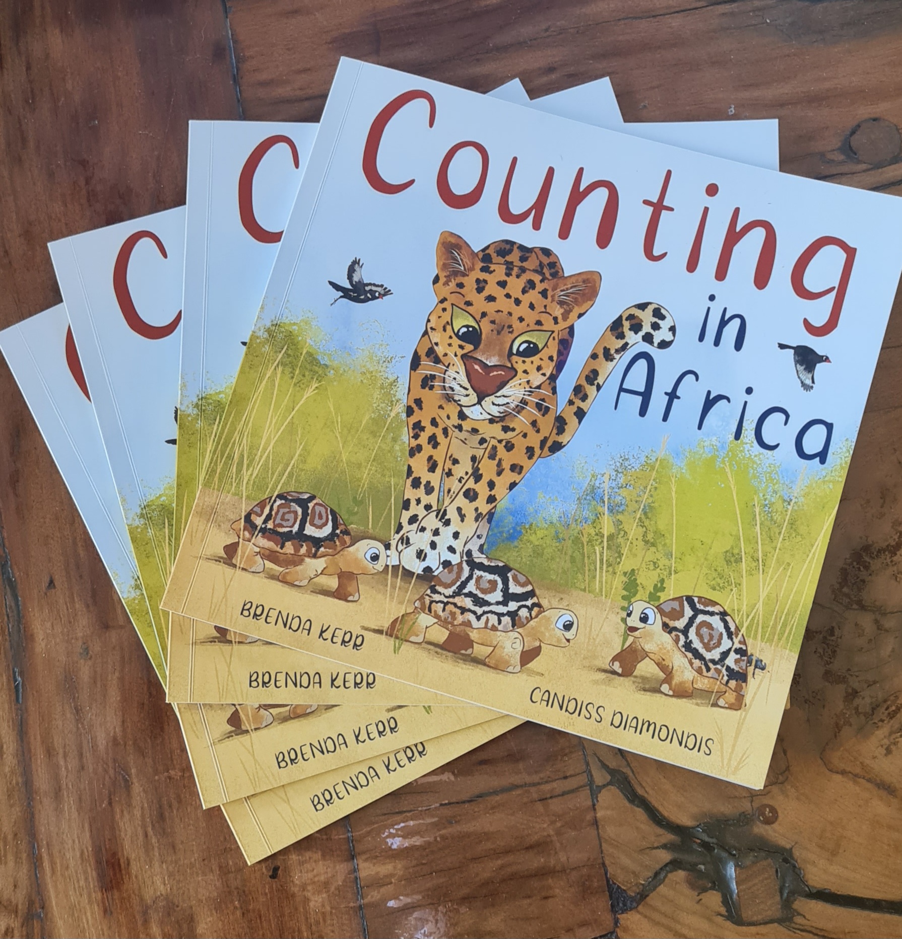 Counting On Africa book - by Megan Toni